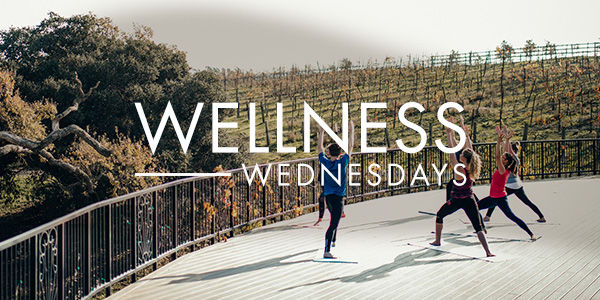 Wellness Wednesdays at Spa Terra